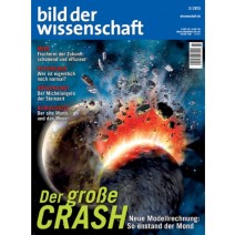 bdw Ausgabe 03/2013