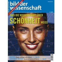 bdw Ausgabe 06/2008