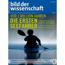 bdw Ausgabe 06/2011