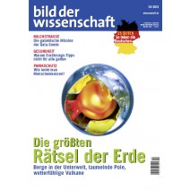 bdw Ausgabe 10/2013