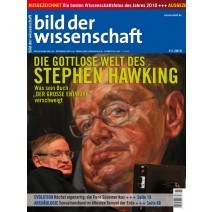 bdw Ausgabe 11/2010