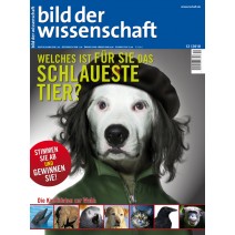 bdw Ausgabe 12/2010