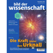 bdw Ausgabe 11/2018