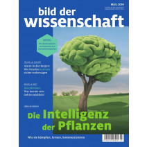 bdw Ausgabe 03/2019