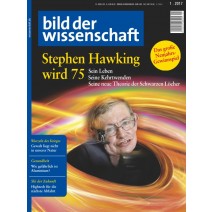 bdw Ausgabe 01/2017