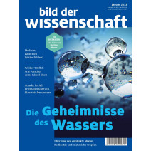 bdw Ausgabe 11/2014