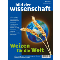 bdw Ausgabe 03/2023