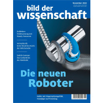 bdw Ausgabe 11/2023