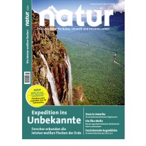 natur 12/2013