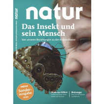 natur Sonderheft Insekten DIGITAL 