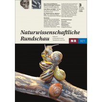 NR Ausgabe 03/2025