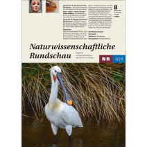 NR Ausgabe 08/2025