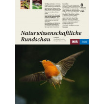 NR Ausgabe 08/2022