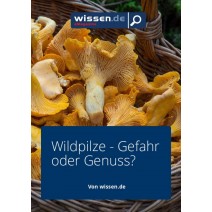 wissen.de eMagazine 46/2016