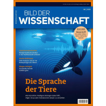 BDW Ausgabe 06/2025