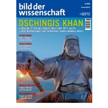 bdw Ausgabe 06/2013