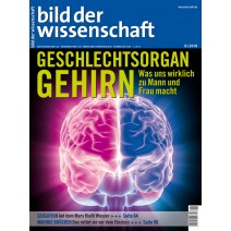 bdw Ausgabe 08/2010