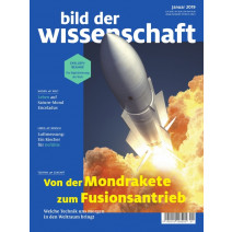 bdw Ausgabe 01/2019