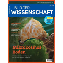 BDW Ausgabe 05/2026