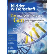 bdw Ausgabe 10/2016