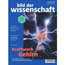 bdw Ausgabe 10/2018