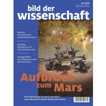 bdw Ausgabe 07/2020