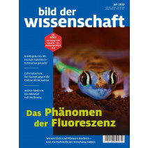 bdw Ausgabe 07/2022