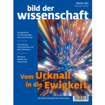 bdw Ausgabe 10/2022