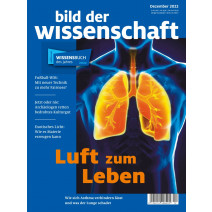 bdw Ausgabe 12/2022