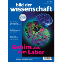 bdw Ausgabe 06/2023