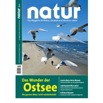 natur 08/2013