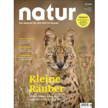 natur 08/2026