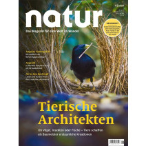 natur DIGITAL 06/2026