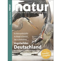 natur Sonderheft Vogelwildes Deutschland