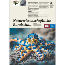 NR Ausgabe 06/2025