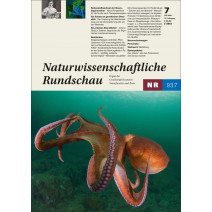 NR Ausgabe 07/2026