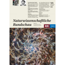 NR Ausgabe 11/2022