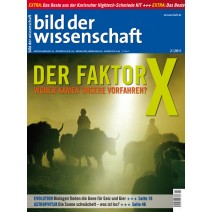 bdw Ausgabe 02/2011