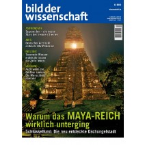 bdw Ausgabe 04/2013