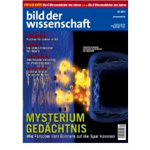 bdw Ausgabe 12/2012