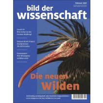 bdw Ausgabe 02/2021