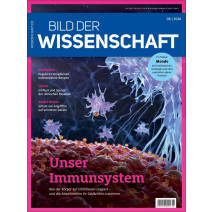 BDW DIGITAL 08/2026
