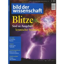 bdw Ausgabe 08/2016