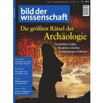 bdw Ausgabe 11/2016