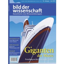 bdw Ausgabe 06/2018