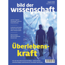 bdw Ausgabe 08/2020