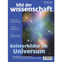 bdw Ausgabe 11/2020