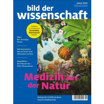 bdw Ausgabe 02/2018: Crash derSternruinen