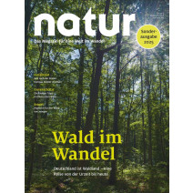 natur Sonderheft Wald im Wandel
