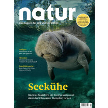 natur 07/2026
